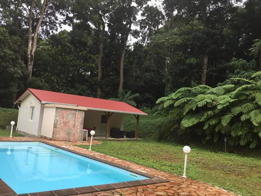 Les Lucioles 1 Beau T2 En Foret Tropicale Avec Acces Piscine Saint-Joseph Exterior foto